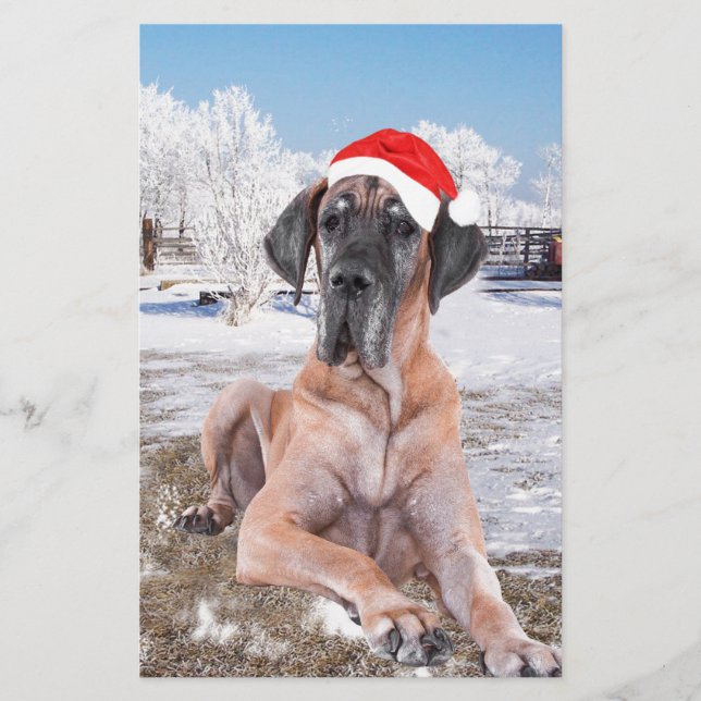 Cute Great Dane Dog Sitting In Snow Christmas Hat Stationery (Front)