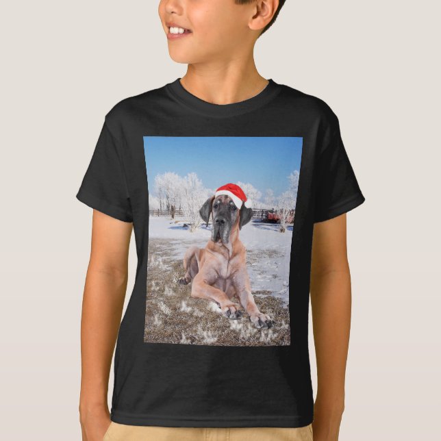 Cute Great Dane Dog Sitting In Snow Christmas Hat T-Shirt (Front)