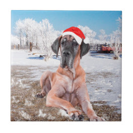 Cute Great Dane Dog Sitting In Snow Christmas Hat Tile