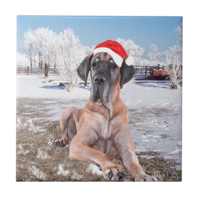 Cute Great Dane Dog Sitting In Snow Christmas Hat Tile (Front)
