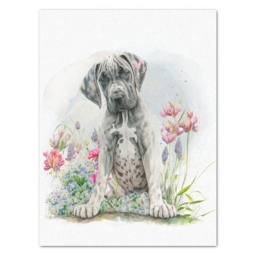 Cute Great Dane Puppy Dog Tissue Paper