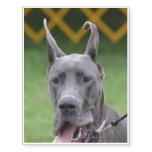 Cute Great Dane Temporary Tattoos