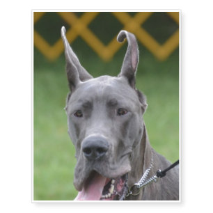 Cute Great Dane Temporary Tattoos