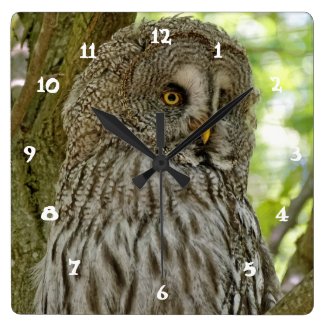 owl clocks