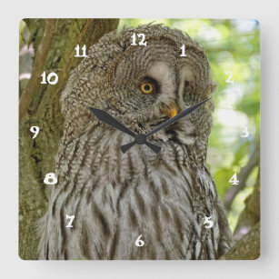 Cute Great Grey Owl Print Wall Clock