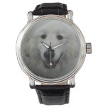 Cute Great White Pyrenees Watch