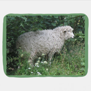 Cute Greedy Sheep Eating Baby Blanket