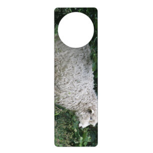Cute Greedy Sheep Eating Door Hanger