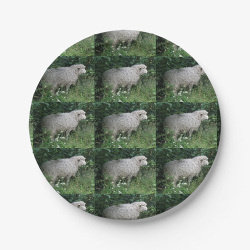 Cute Greedy Sheep Eating Paper Plate