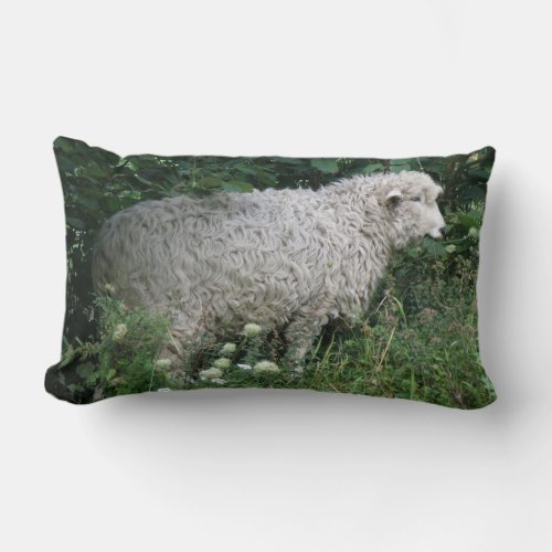 Cute Greedy Sheep Eating Pillow