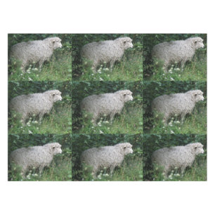 Cute Greedy Sheep Eating Tablecloth