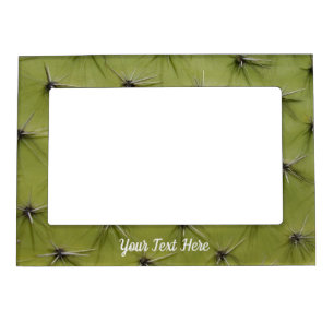 Cute green cactus pricks backgrond image custom magnetic frame