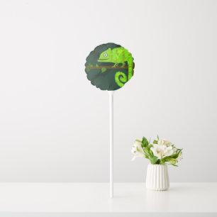 Cute Green Chameleon Illustration Tropical Reptile Balloon