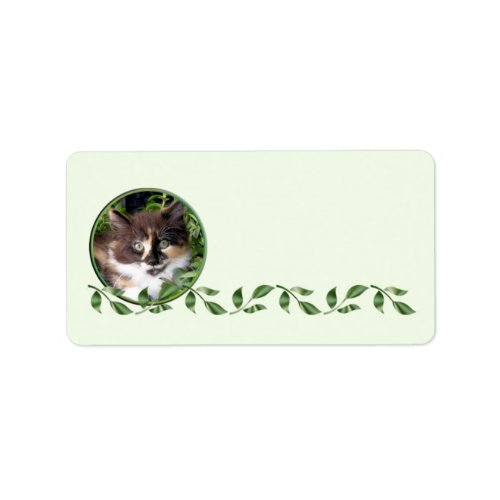 Cute Green Eyed Cat Address Label