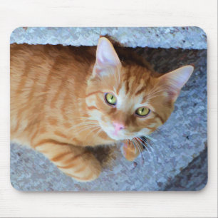 Cute Green Eyes Orange Tabby Cat Mouse Pad