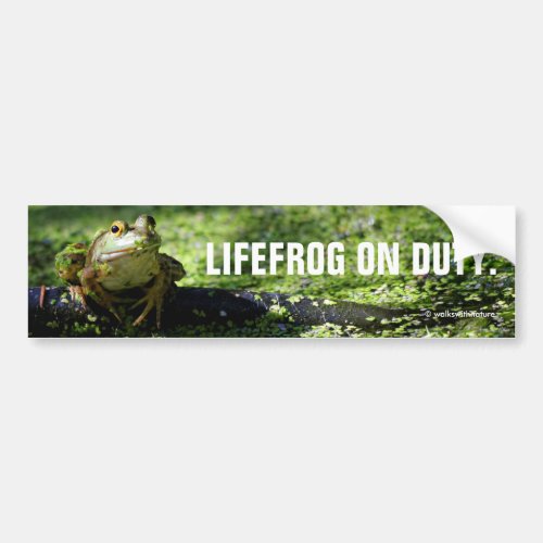 Cute Green Frog Strikes a Pose on the Hose Bumper Sticker
