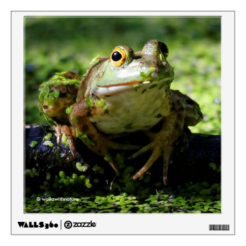 Cute Green Frog Strikes a Pose on the Hose Wall Sticker