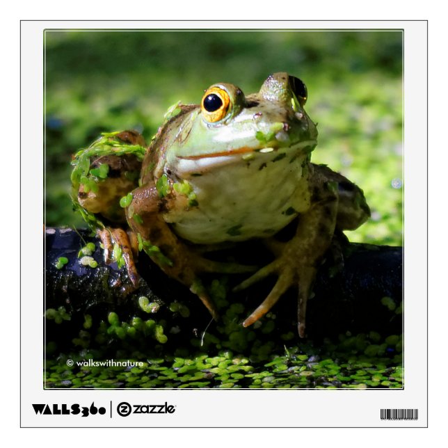 Cute Green Frog Strikes a Pose on the Hose Wall Sticker (Front)