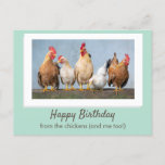 Cute Green Happy Birthday From The Chickens Postcard