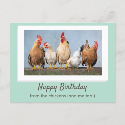 Cute Green Happy Birthday From The Chickens Postcard