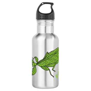 Cute green leaf insect cartoon illustration stainless steel water bottle