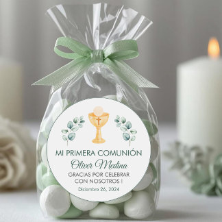 Cute Green Leaves Spanish First Communion  Classic Round Sticker