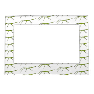 Cute green stick insects with happy faces cartoon magnetic frame