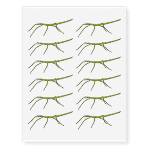 Cute green stick insects with happy faces cartoon temporary tattoos