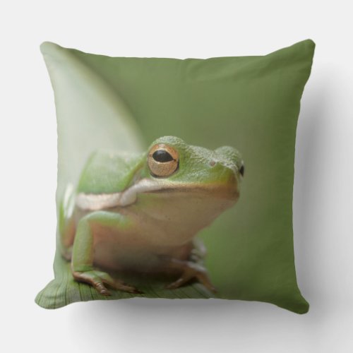 Cute Green Tree Frog Decorative Wildlife Throw Pillow