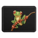 Cute Green Tree Frog On A Branch On Black Hitch Cover at Zazzle