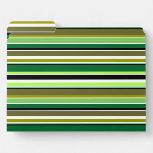 Cute green white stripes file folder