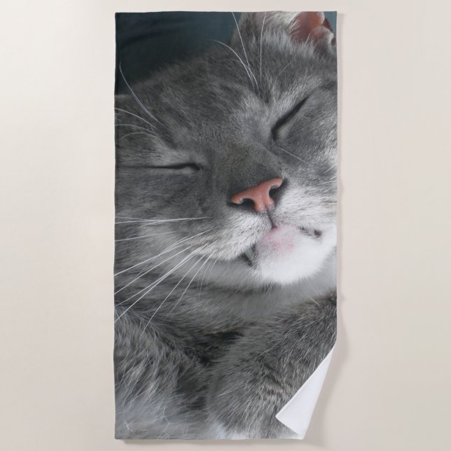 Cute Grey Cat Beach Towel (Front)