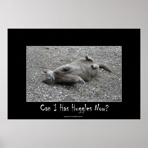 Cute Grey Cat Funny Huggles Poster