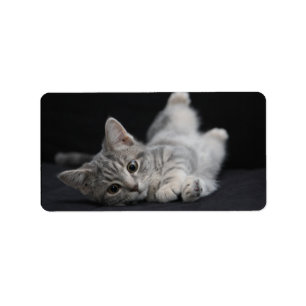Cute Grey Cat Label