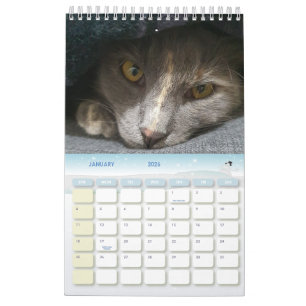 cute grey cat photos 2026 calendar