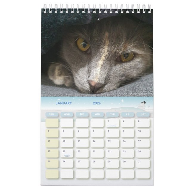 cute grey cat photos 2026 calendar (Jan 2026)