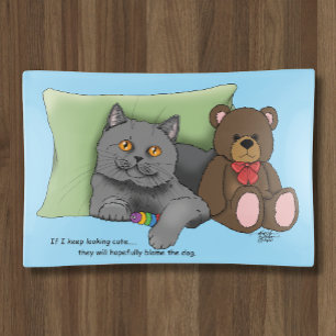 Cute Grey Cat Teddy Bear Funny Blue Trinket Tray