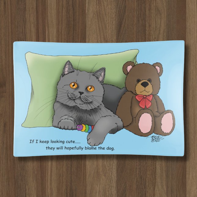 Cute Grey Cat Teddy Bear Funny Blue Trinket Tray (Creator Uploaded)