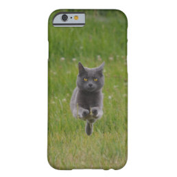 Cute Grey Farm Cat Racing Across Green Grass Photo Barely There iPhone 6 Case