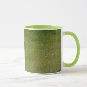 Cute Grey Farm Cat Racing Across Green Grass Photo Mug