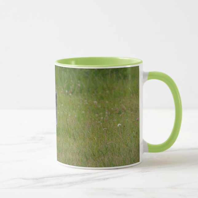 Cute Grey Farm Cat Racing Across Green Grass Photo Mug (Right)