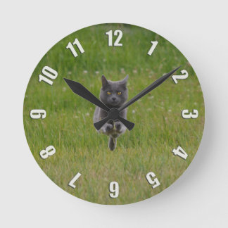 Cute Grey Farm Cat Racing Across Green Grass Photo Round Clock