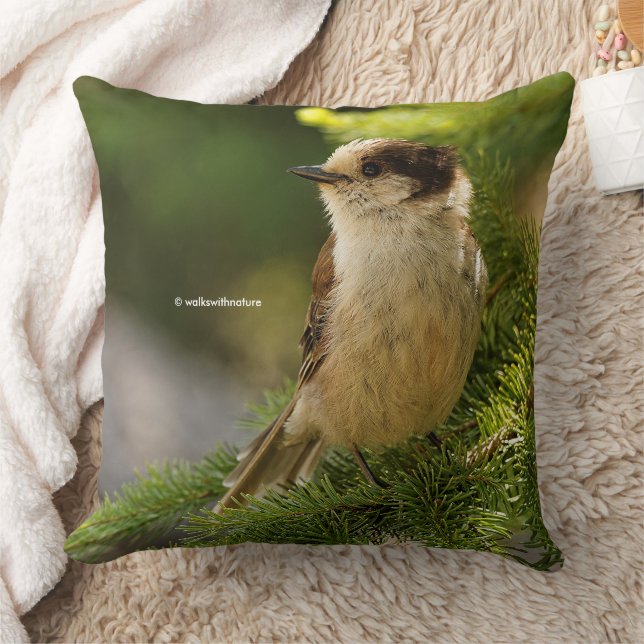 Cute Grey Jay Whiskeyjack Songbird in Conifer Tree Throw Pillow (Blanket)