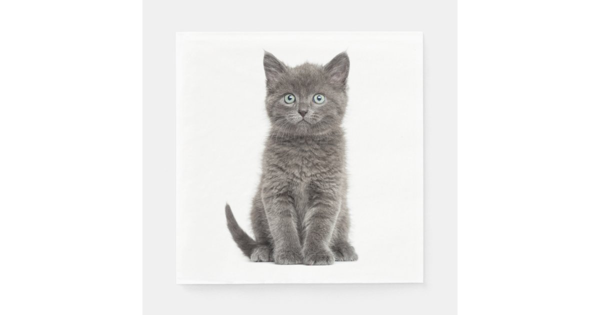 Cute Grey Kitten Gray Kitty Cat Party Napkins | Zazzle