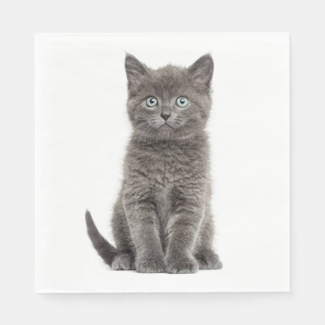 Cute Grey Kitten Gray Kitty Cat Party Napkins (Front)