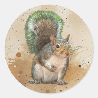 Cute Grey  Squirrel Animal Wildlife Nature Classic Round Sticker