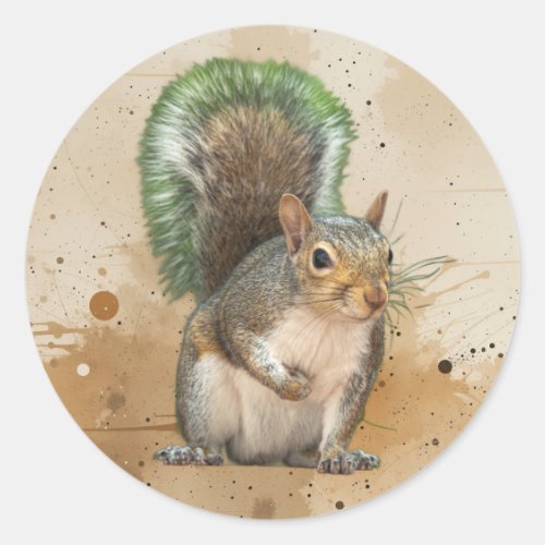 Cute Grey  Squirrel Animal Wildlife Nature Classic Round Sticker