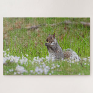 Cute Grey Squirrel Green Grass Bluetts Jigsaw Puzzle