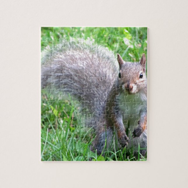 Cute Grey Squirrel Jigsaw Puzzle (Vertical)