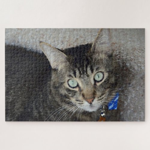 Cute Grey Tabby Cat Green Eyes Elegant Jigsaw Puzzle